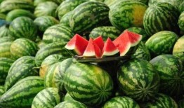 定远网红吃瓜事件真相揭秘,揭秘背后真相与争议